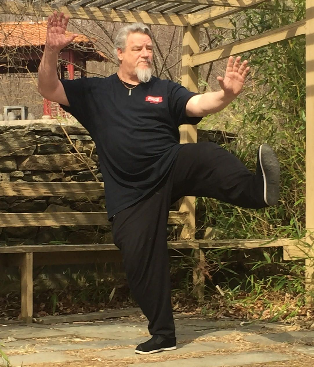 Jim Russo demonstrating an internal arts kick