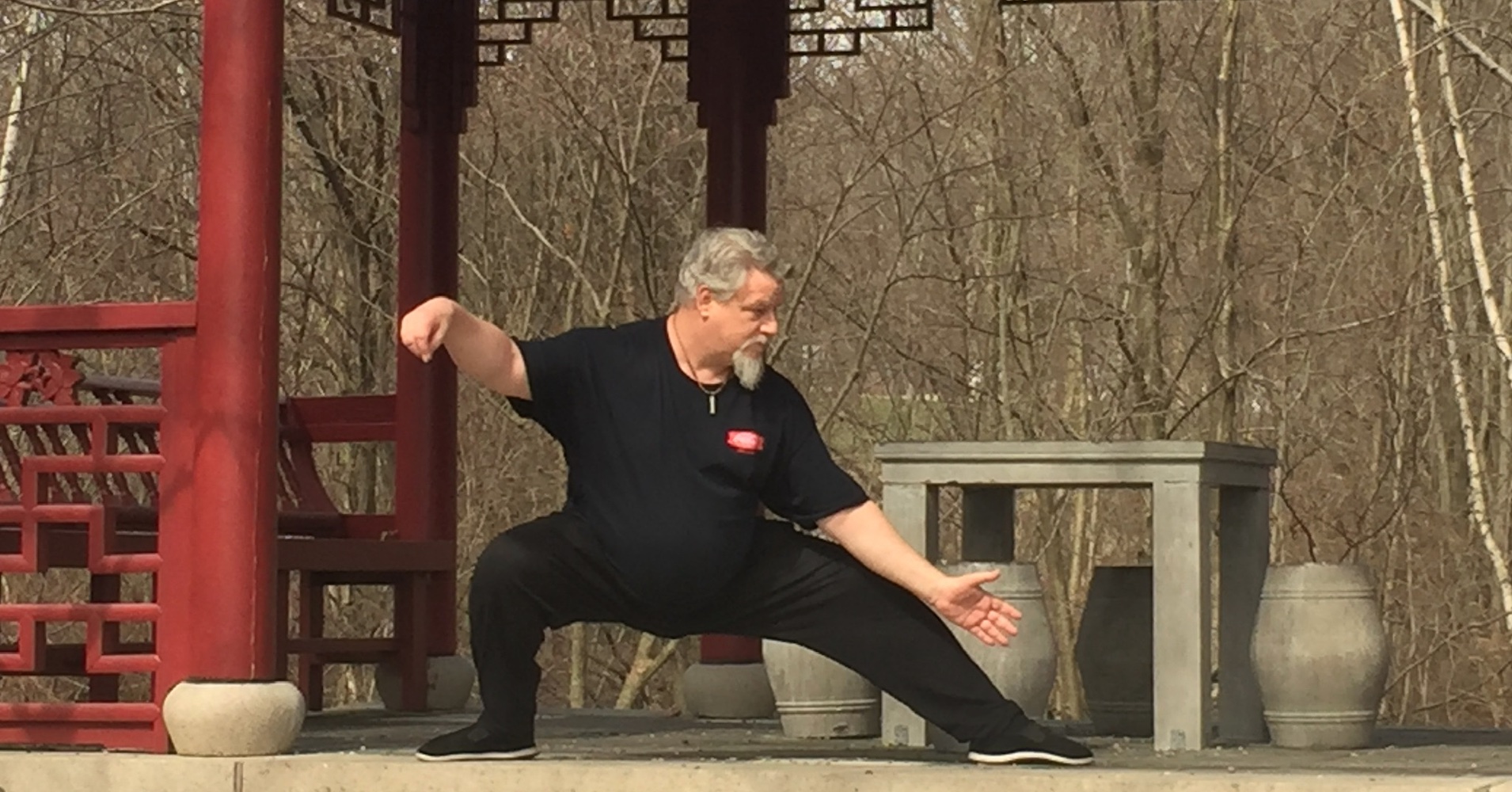 Jim Russo demonstrating Tai Chi in front of temple banners